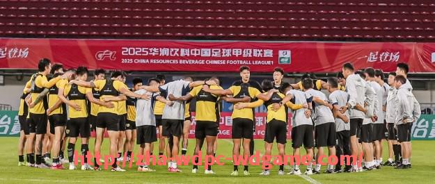 问鼎娱乐官方网站-世俱杯商业合作合同风险分析:从条款细节到合同执行中的潜在风险