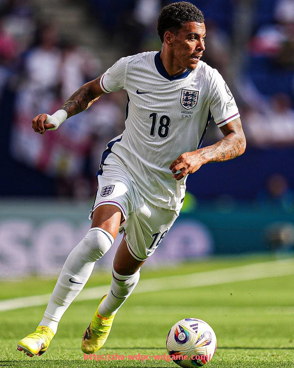 问鼎娱乐官方网站-德甲球队全年参加的赛事类型汇总与疲劳指数评估